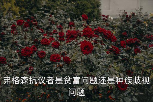 弗格森警察為什么槍殺黑人，弗格森抗議者是貧富問題還是種族歧視問題