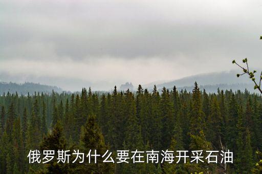 俄越為什么在南海采油，越南在南海開(kāi)采石油我國(guó)為什么不開(kāi)采