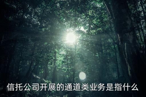 信托通道費是什么意思，單一信托 通道是什么意思