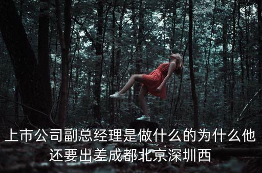 上市公司副總經理是做什么的為什么他還要出差成都北京深圳西