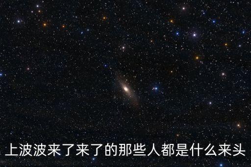 洪清華什么來頭，上波波來了來了的那些人都是什么來頭