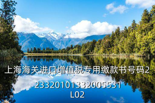 上海海關(guān)進(jìn)口增值稅專用繳款書號(hào)碼223320101332005531L02