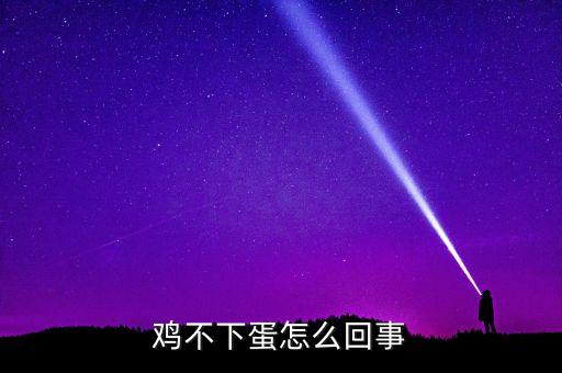 雞不生蛋是什么原因，雞為什么不下蛋