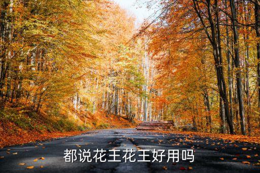 都說花王花王好用嗎