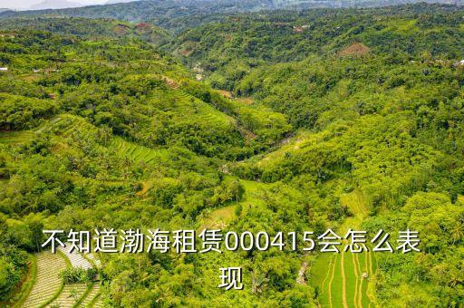 渤海租賃為什么漲的慢，不知道渤海租賃000415會(huì)怎么表現(xiàn)