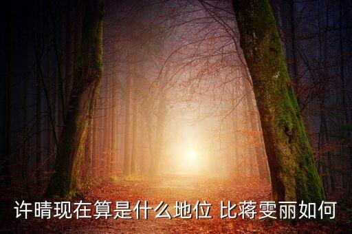 徐晴什么，許晴主演過(guò)的電視劇