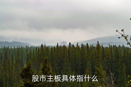 股市主板指什么，股市主板具體指什么