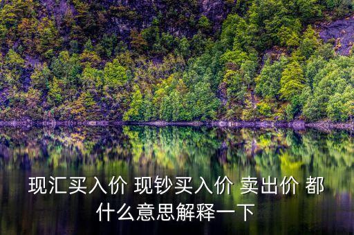 現(xiàn)匯買入價 現(xiàn)鈔買入價 賣出價 都什么意思解釋一下
