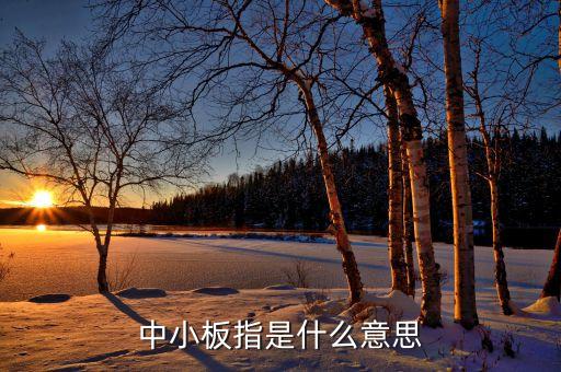 中小板指是什么意思