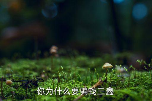 為什么中航三鑫，你為什么要騙錢三鑫