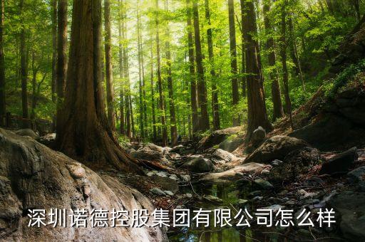 諾德股份是什么公司，諾德基金管理有限公司的簡介