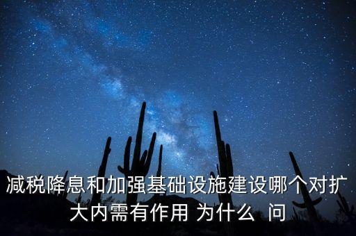 減稅降息和加強(qiáng)基礎(chǔ)設(shè)施建設(shè)哪個(gè)對(duì)擴(kuò)大內(nèi)需有作用 為什么  問