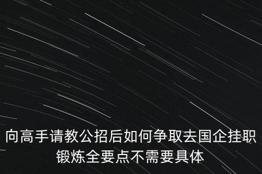 向高手請教公招后如何爭取去國企掛職鍛煉全要點不需要具體
