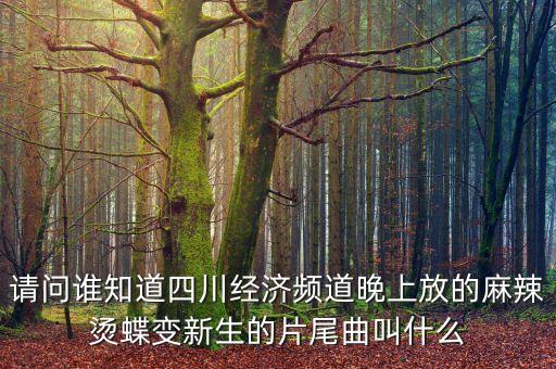 四川經(jīng)濟(jì)頻道廣告時(shí)用四川話唱歌的是什么歌，四川電視臺(tái)經(jīng)濟(jì)頻道那個(gè)胖妹叫什么名字啊她唱過有幾首很搞笑的