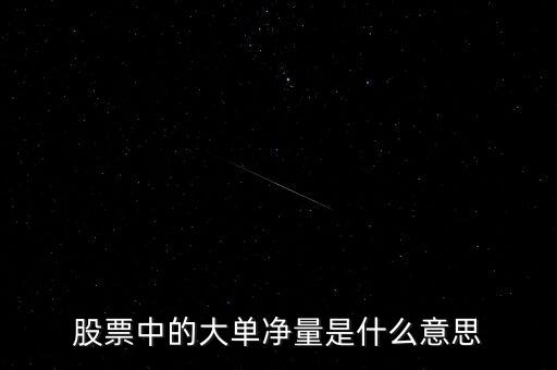 股票中的大單凈量是什么意思