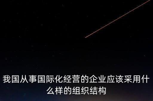 我國從事國際化經(jīng)營的企業(yè)應(yīng)該采用什么樣的組織結(jié)構(gòu)