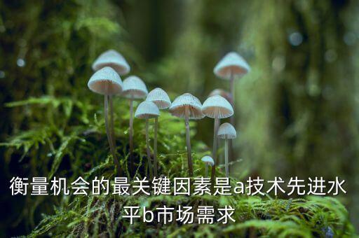 衡量機(jī)會(huì)的最關(guān)鍵因素是a技術(shù)先進(jìn)水平b市場(chǎng)需求