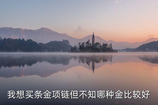 我想買(mǎi)條金項(xiàng)鏈但不知哪種金比較好