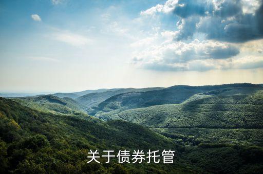 為什么要債券托管，關(guān)于債券托管