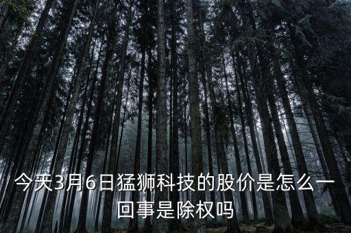 今天3月6日猛獅科技的股價(jià)是怎么一回事是除權(quán)嗎
