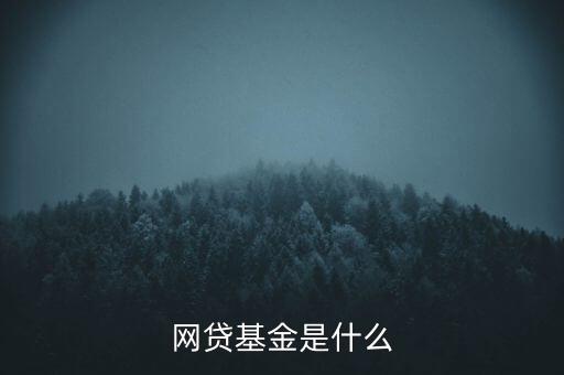 什么是網(wǎng)貸基金，網(wǎng)貸與基金有甚么區(qū)分