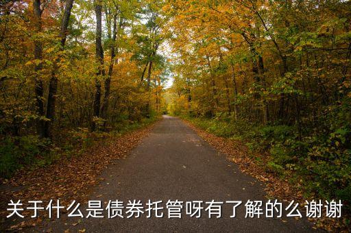 關(guān)于什么是債券托管呀有了解的么謝謝