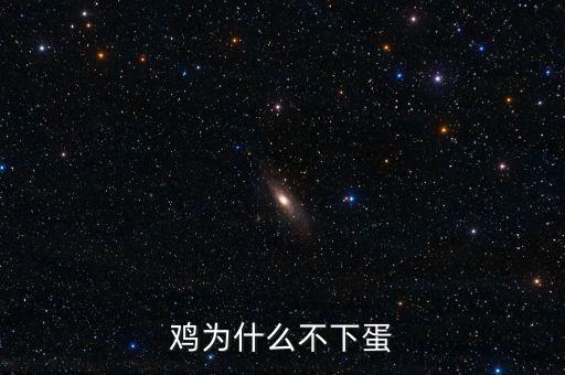 雞為什么不下蛋