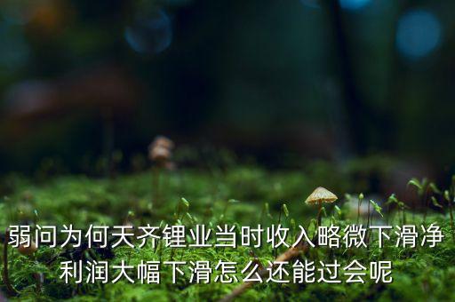 弱問為何天齊鋰業(yè)當(dāng)時收入略微下滑凈利潤大幅下滑怎么還能過會呢