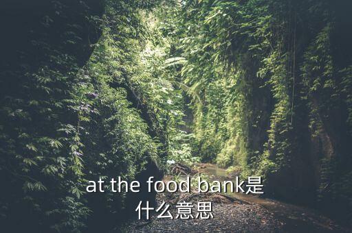 糧食銀行什么意思，at the food bank是什么意思