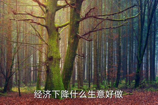 經(jīng)濟下降什么生意好做