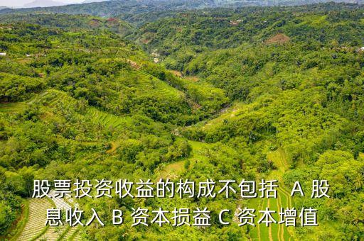 股票投資收益的構(gòu)成不包括  A 股息收入 B 資本損益 C 資本增值