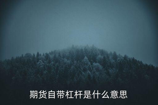期貨自帶杠桿是什么意思