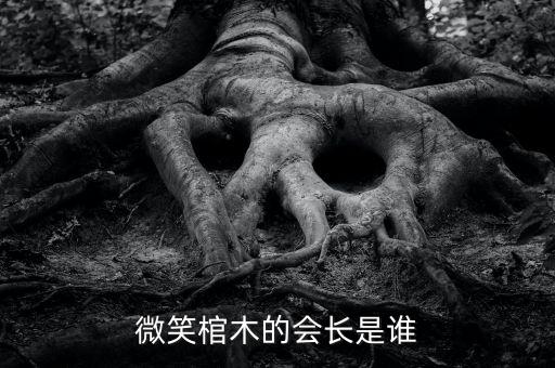 微笑棺木的會(huì)長(zhǎng)是誰(shuí)