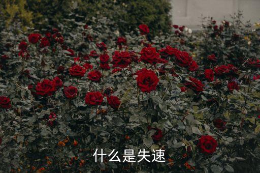 什么是失速