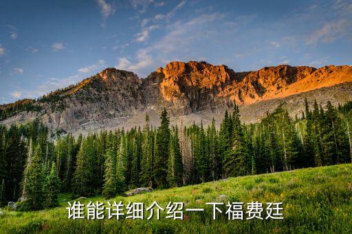 誰(shuí)能詳細(xì)介紹一下福費(fèi)廷