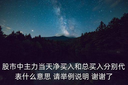 股市中主力當(dāng)天凈買(mǎi)入和總買(mǎi)入分別代表什么意思 請(qǐng)舉例說(shuō)明 謝謝了