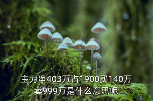 主力凈占比是什么，什么叫主力凈占比