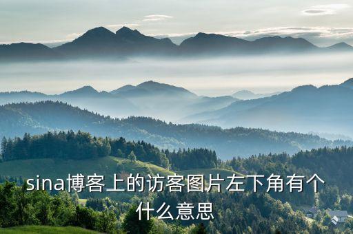 sina博客上的訪客圖片左下角有個什么意思
