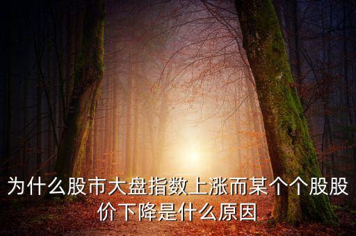 為什么股市大盤指數(shù)上漲而某個(gè)個(gè)股股價(jià)下降是什么原因