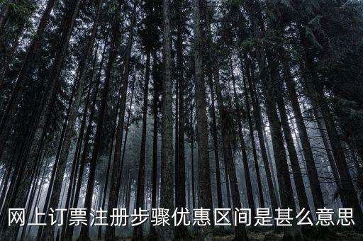 網(wǎng)上訂票注冊步驟優(yōu)惠區(qū)間是甚么意思