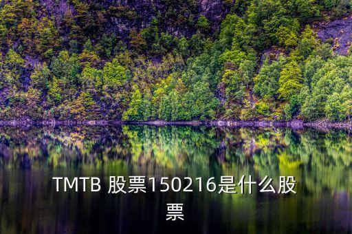 TMTB 股票150216是什么股票