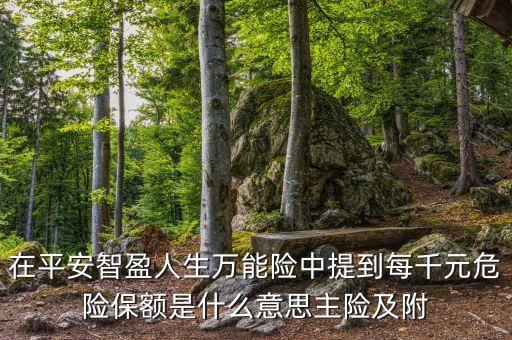 主險是什么意思，中國平安保險的主險合同是什么意思