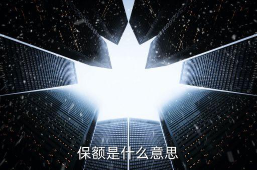 保險的保額是什么意思，保險的保額是什么意思