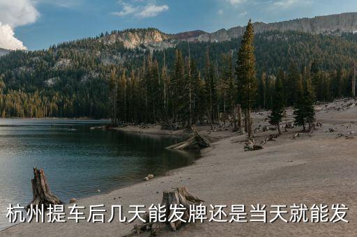 杭州車牌什么時候發(fā)放，杭州車牌拍好多久拿到