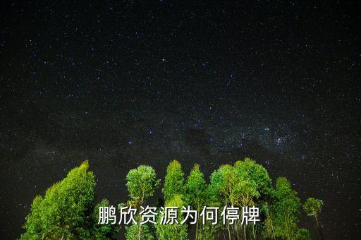 鵬欣資源為何停牌