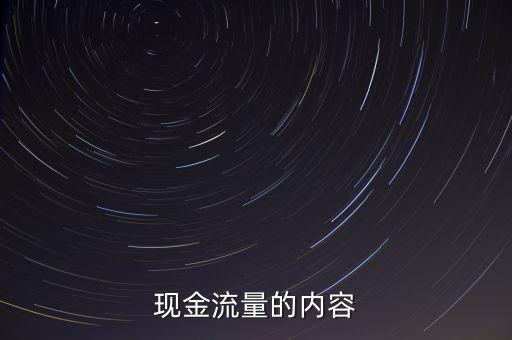 現(xiàn)金流量的內(nèi)容