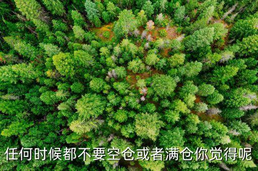 任何時候都不要空倉或者滿倉你覺得呢