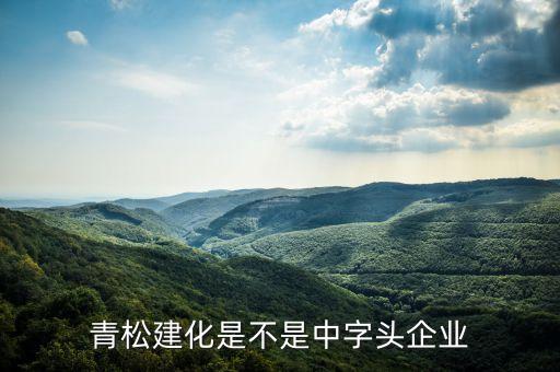 青松建化是做什么的，氫彈是什么做的