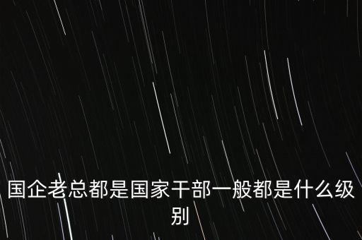 國企老總都是國家干部一般都是什么級別