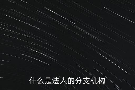 什么是法人的分支機(jī)構(gòu)